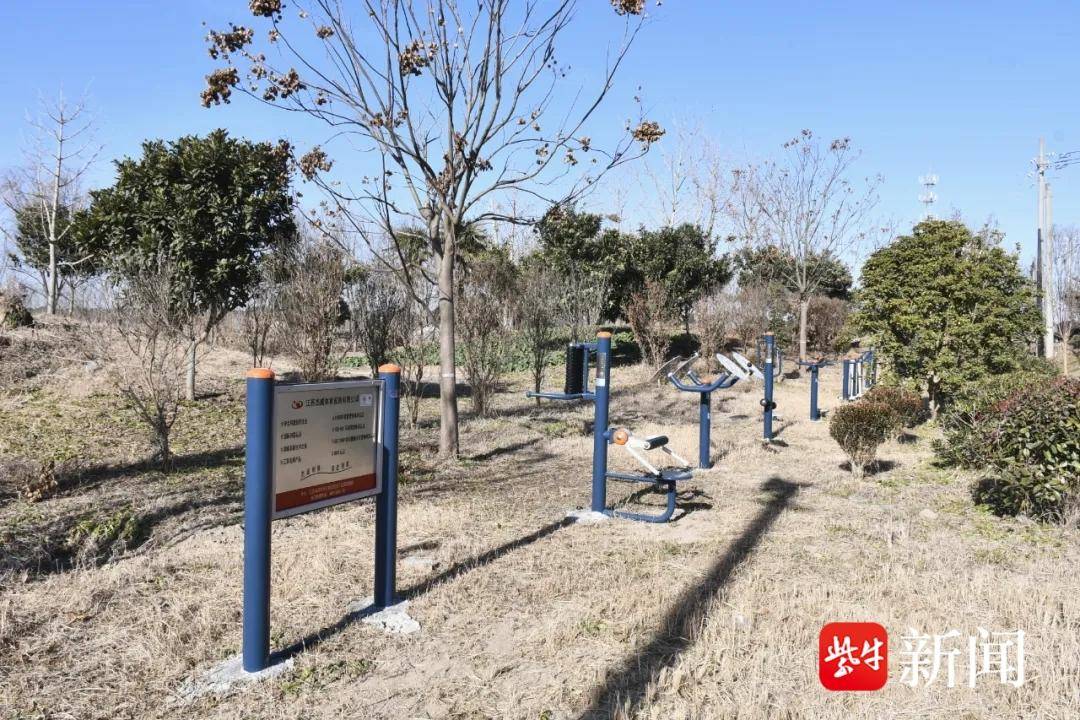 東臺市弶港鎮(zhèn)傾心為民辦實事 增添健身器材暖人心:健身器材
