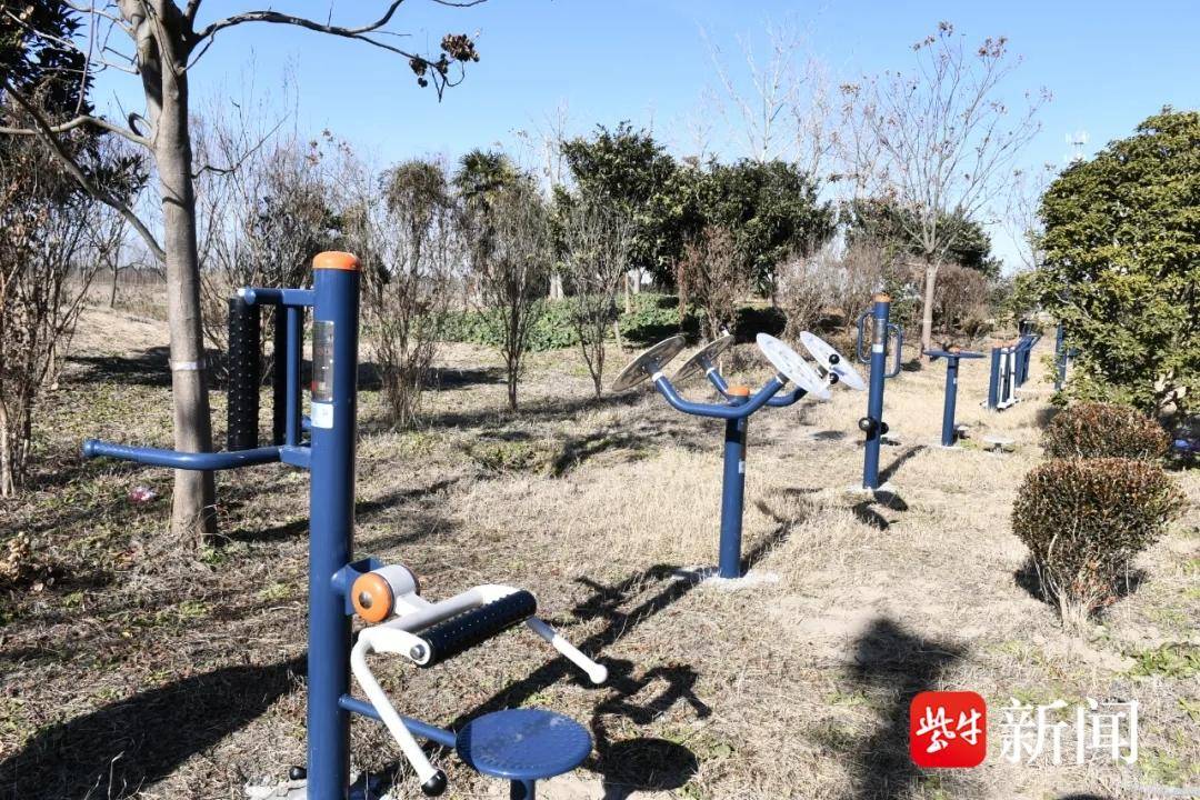 東臺市弶港鎮(zhèn)傾心為民辦實事 增添健身器材暖人心:健身器材
