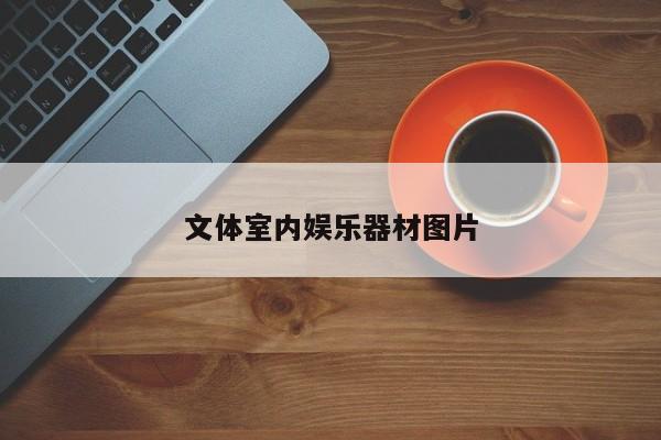 文體室內(nèi)娛樂器材圖片